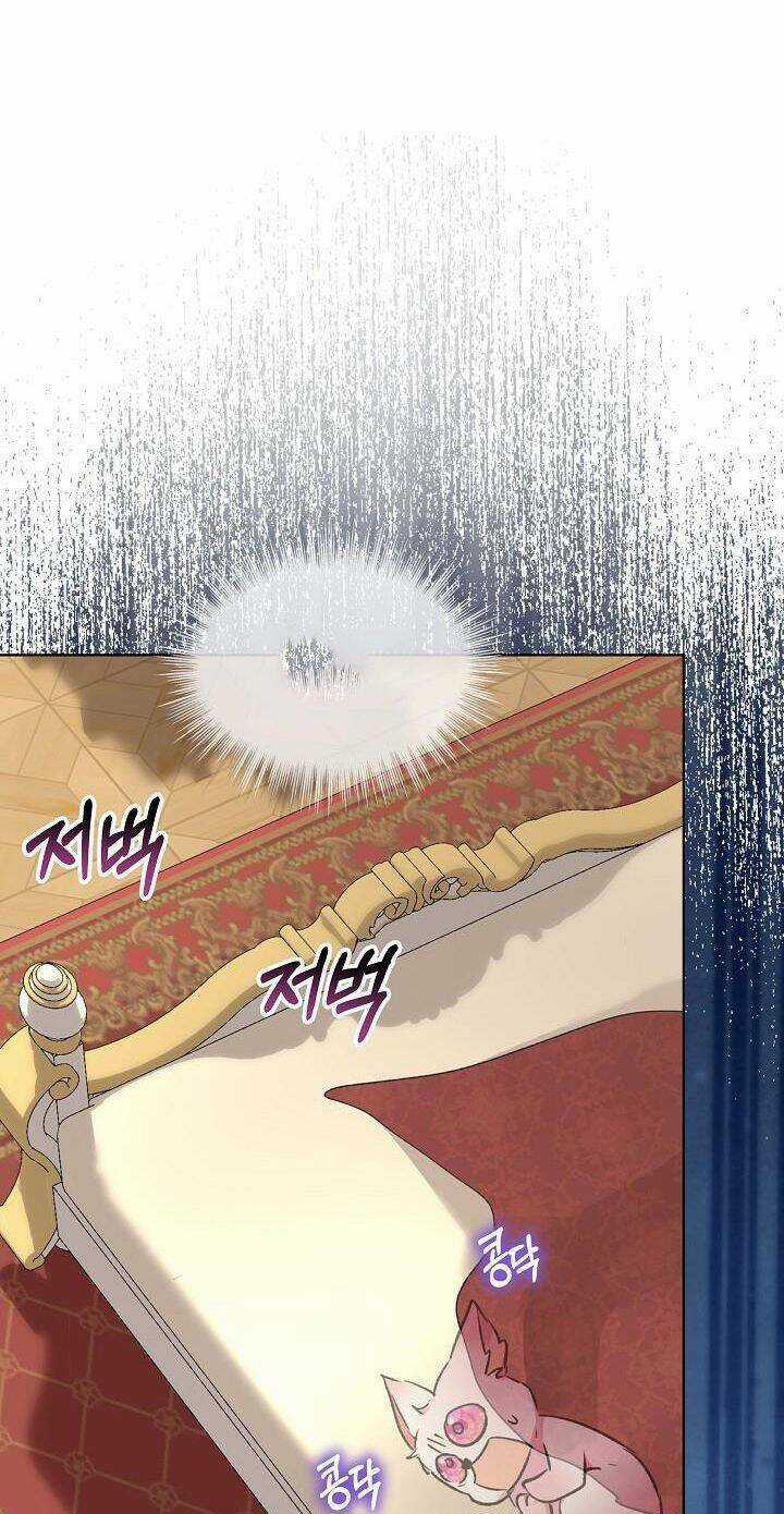 Tôi Đã Tái Sinh Thành Bé Cáo Của Thần Chapter 40 trang 52