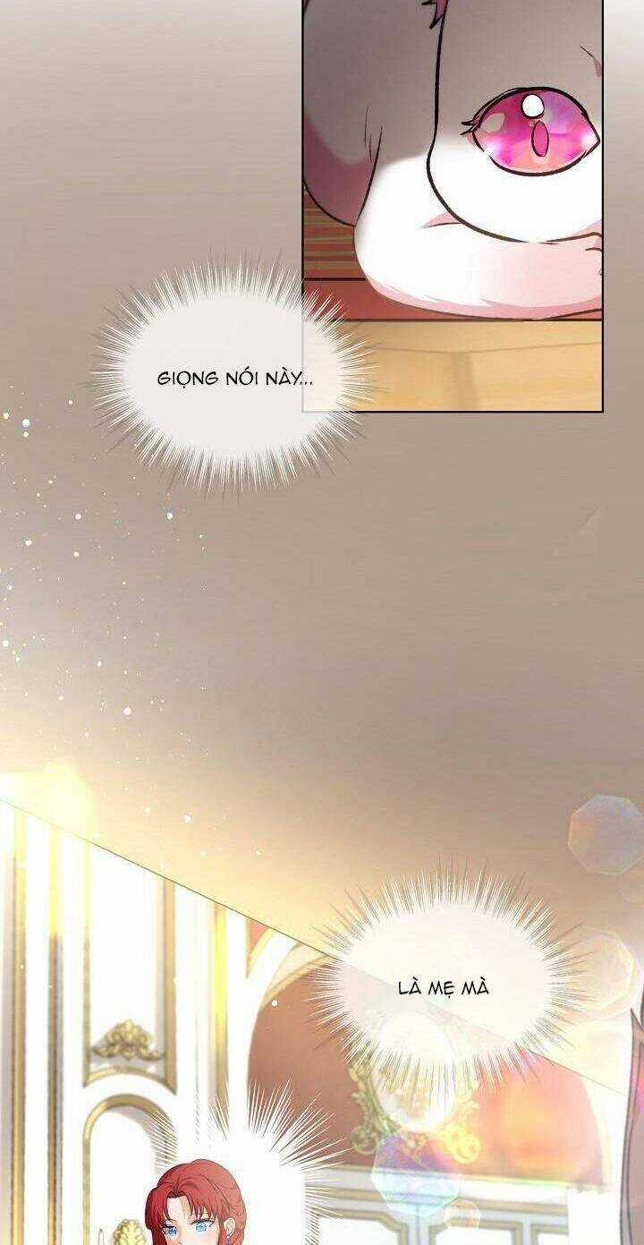 Tôi Đã Tái Sinh Thành Bé Cáo Của Thần Chapter 40 trang 57