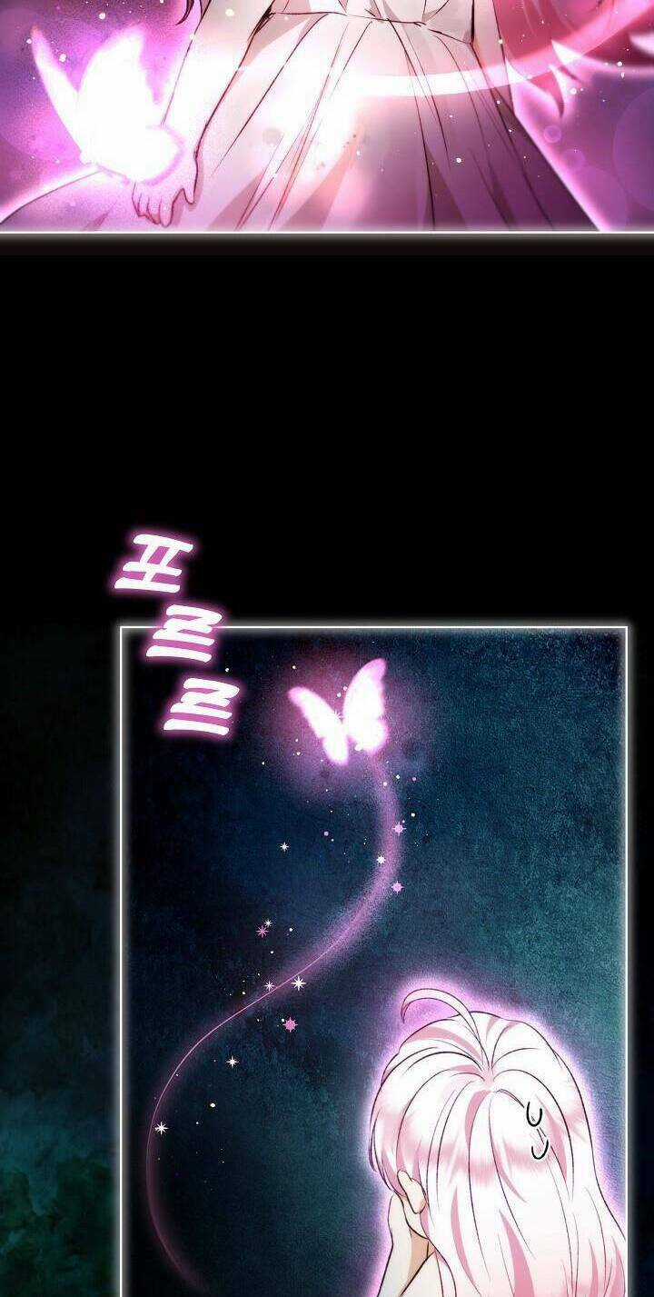 Tôi Đã Tái Sinh Thành Bé Cáo Của Thần Chapter 40 trang 6