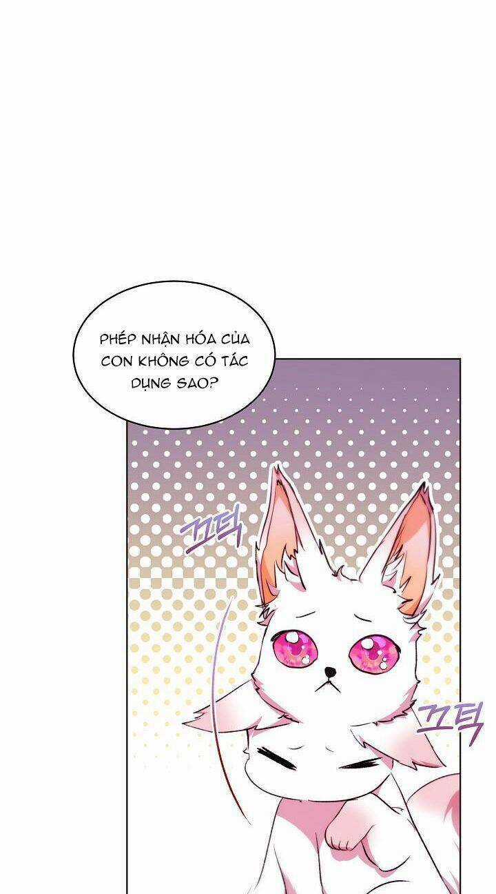 Tôi Đã Tái Sinh Thành Bé Cáo Của Thần Chapter 40 trang 61