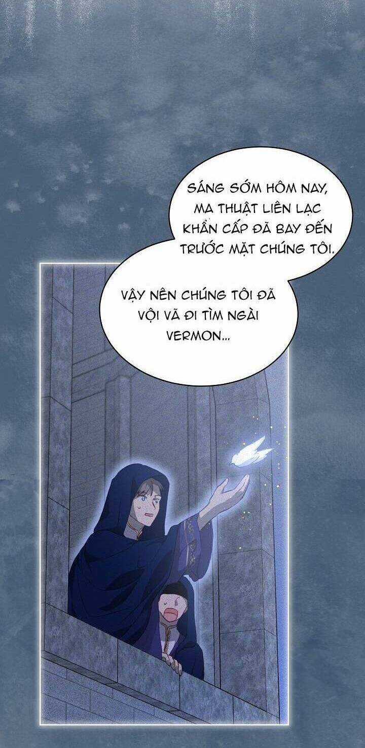 Tôi Đã Tái Sinh Thành Bé Cáo Của Thần Chapter 41 trang 15