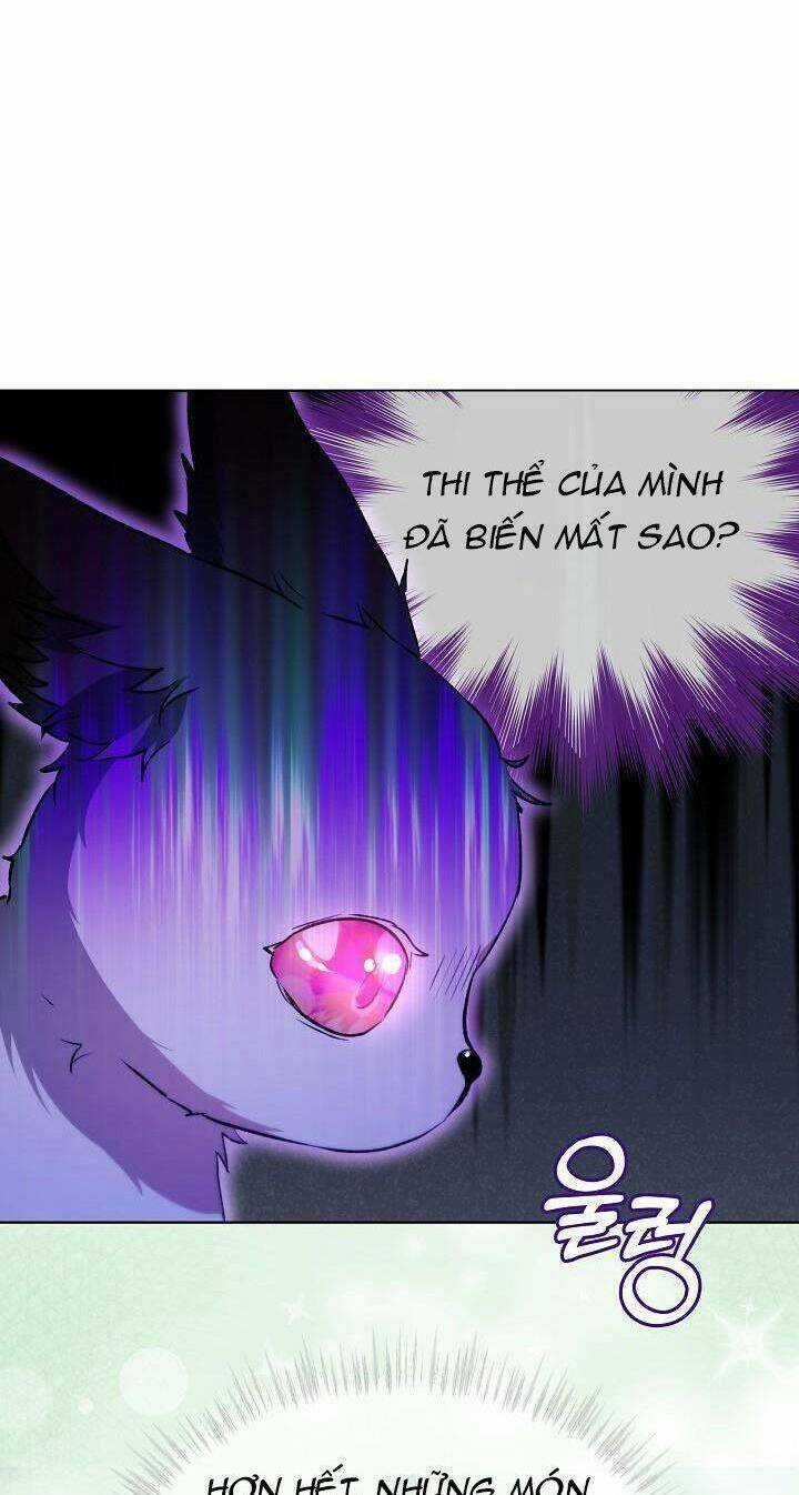 Tôi Đã Tái Sinh Thành Bé Cáo Của Thần Chapter 41 trang 35