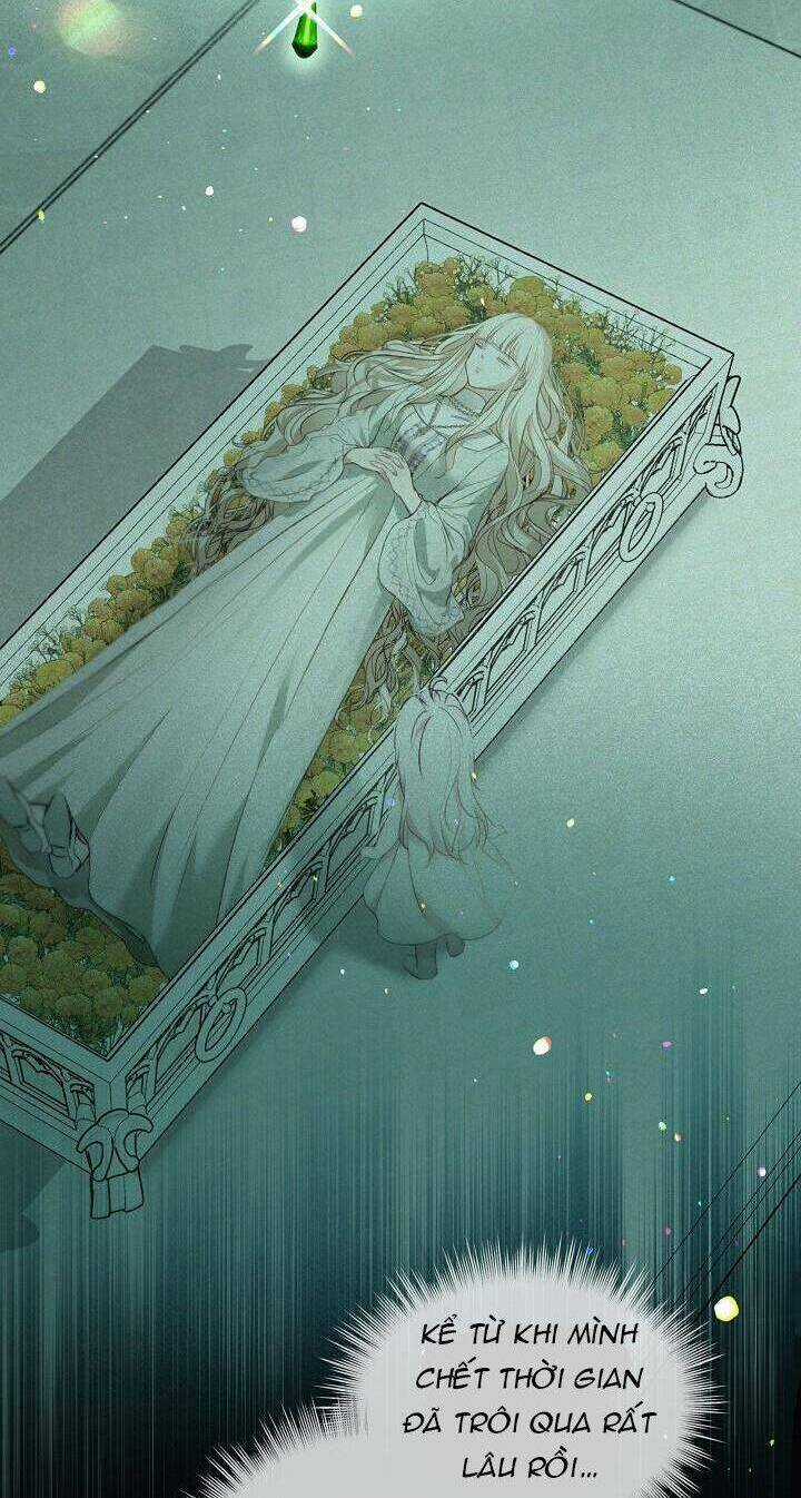 Tôi Đã Tái Sinh Thành Bé Cáo Của Thần Chapter 41 trang 37