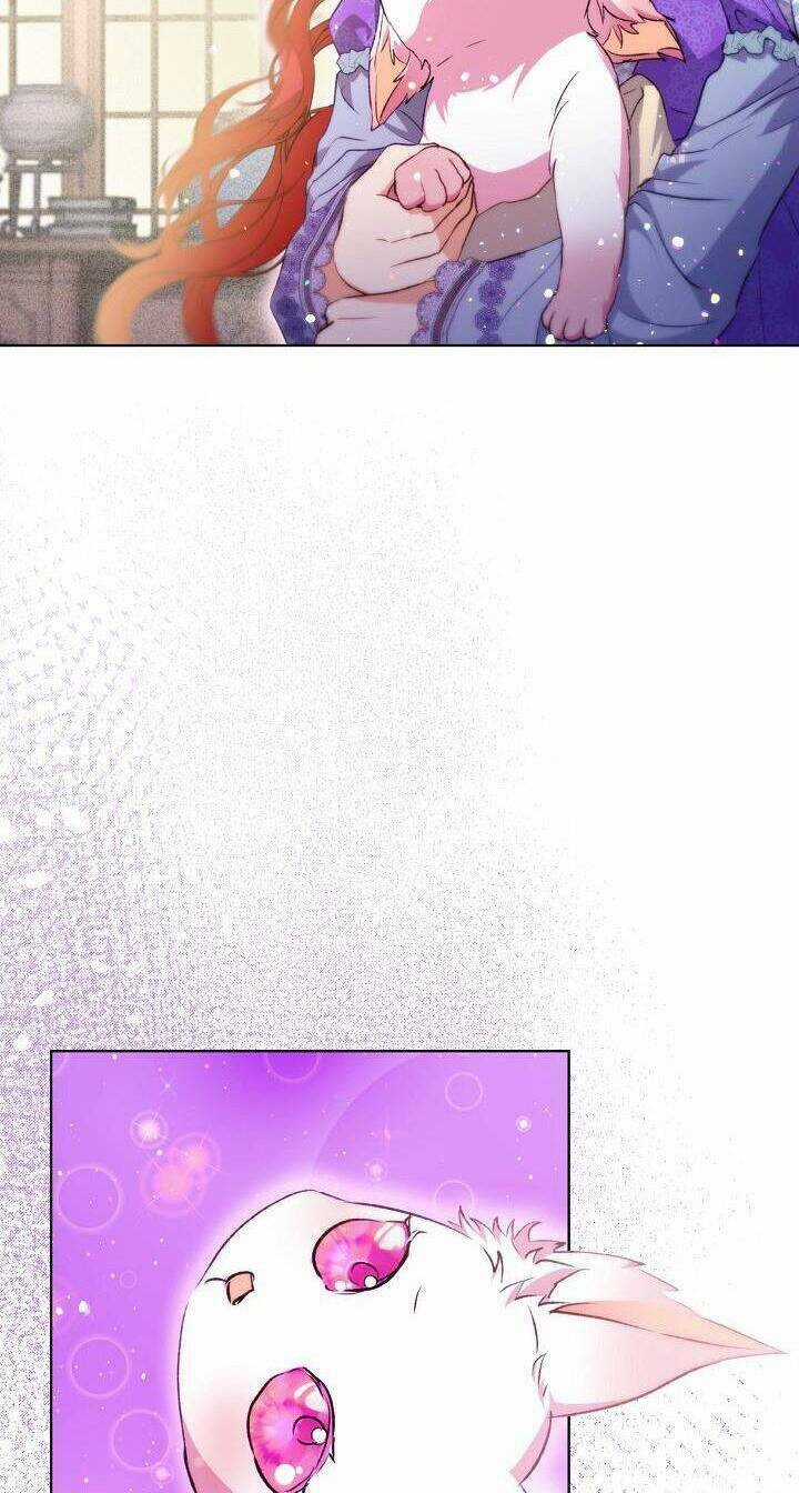 Tôi Đã Tái Sinh Thành Bé Cáo Của Thần Chapter 41 trang 40