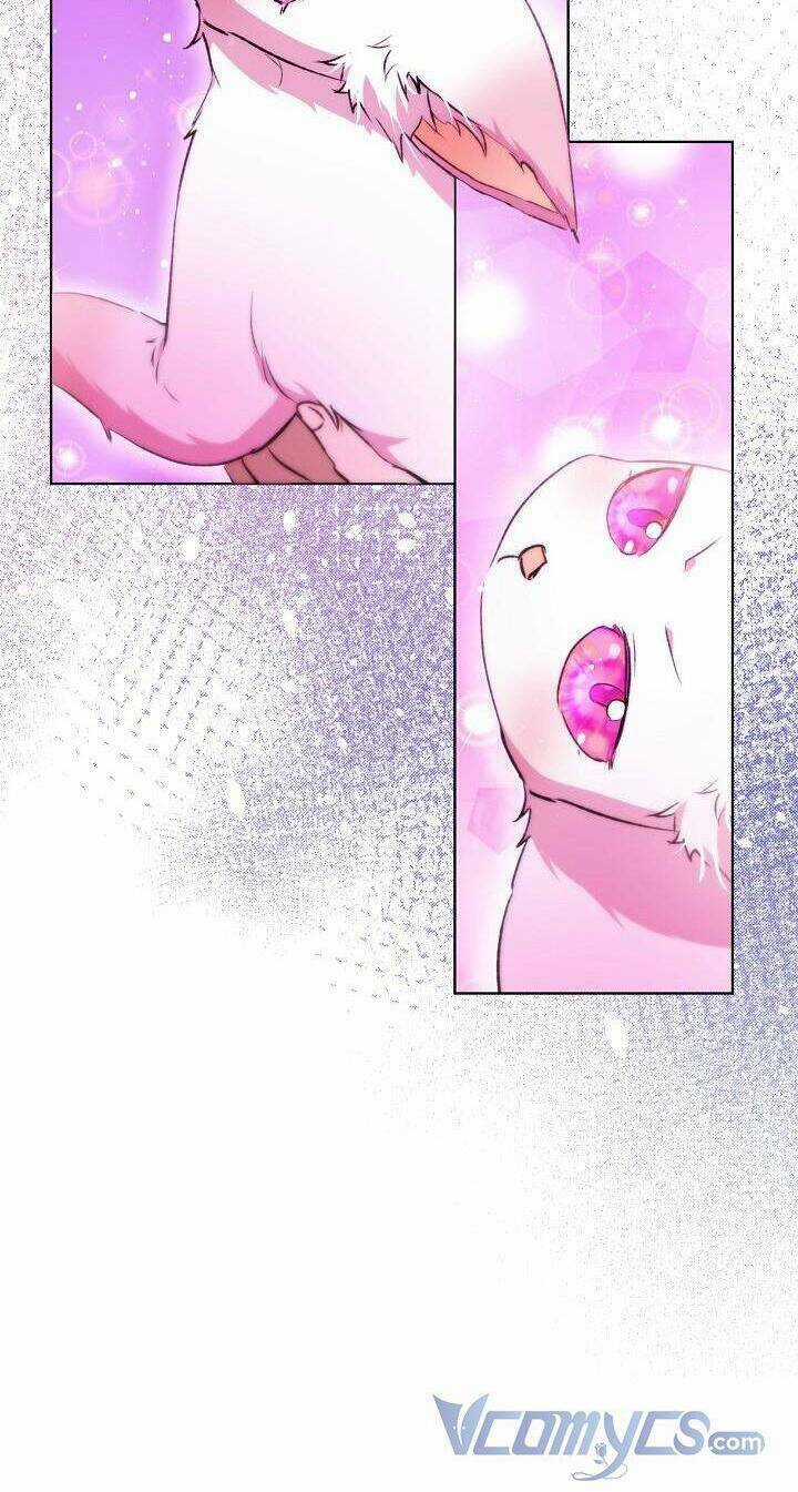 Tôi Đã Tái Sinh Thành Bé Cáo Của Thần Chapter 41 trang 41