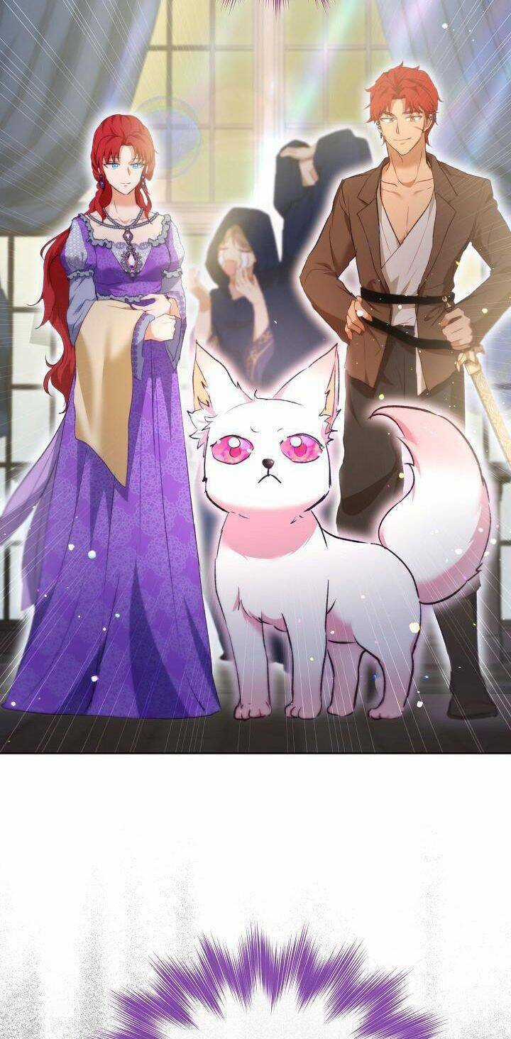 Tôi Đã Tái Sinh Thành Bé Cáo Của Thần Chapter 41 trang 44