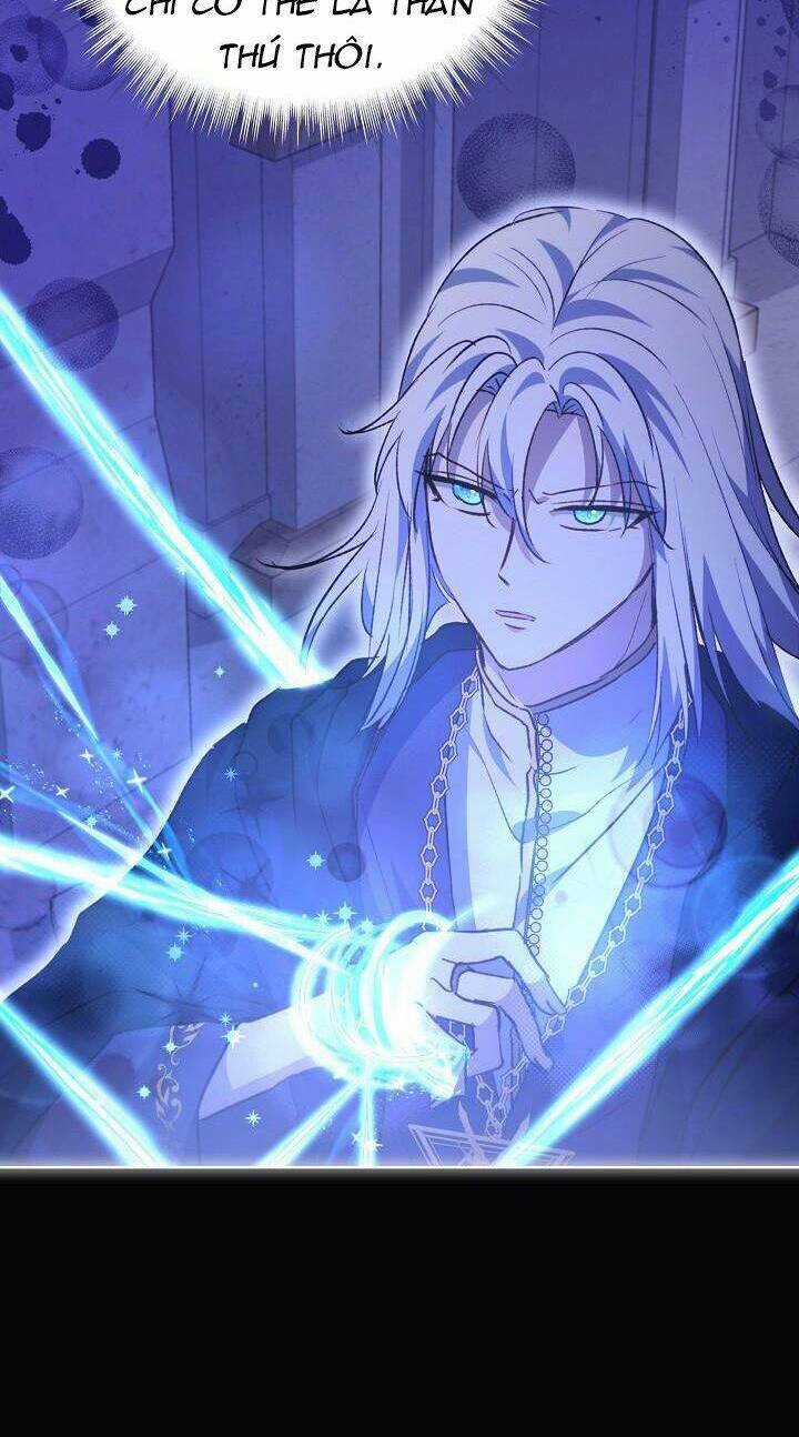 Tôi Đã Tái Sinh Thành Bé Cáo Của Thần Chapter 41 trang 54