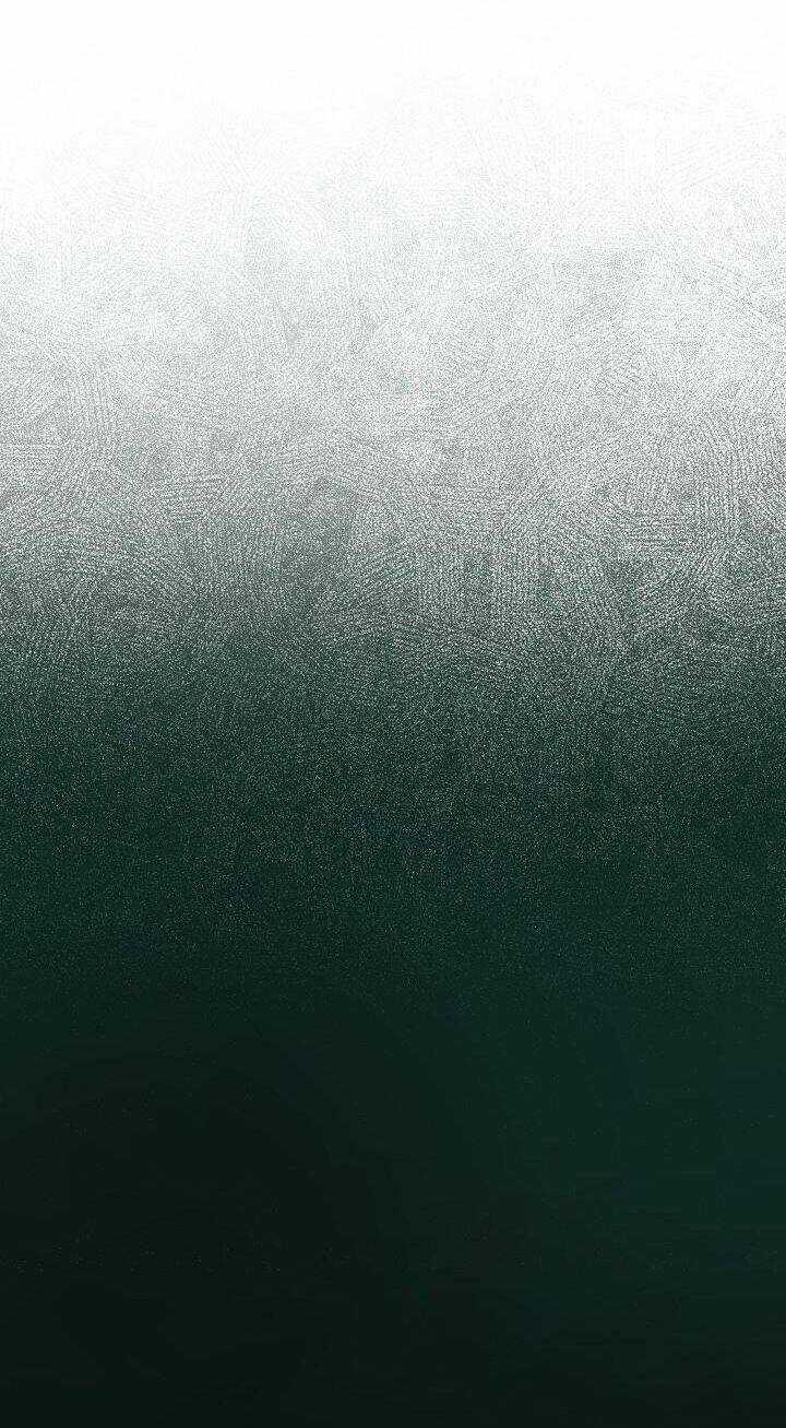 Tôi Đã Tái Sinh Thành Bé Cáo Của Thần Chapter 42 trang 28