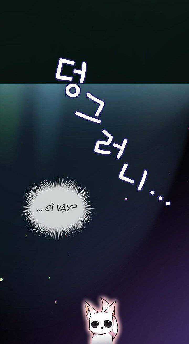 Tôi Đã Tái Sinh Thành Bé Cáo Của Thần Chapter 42 trang 29