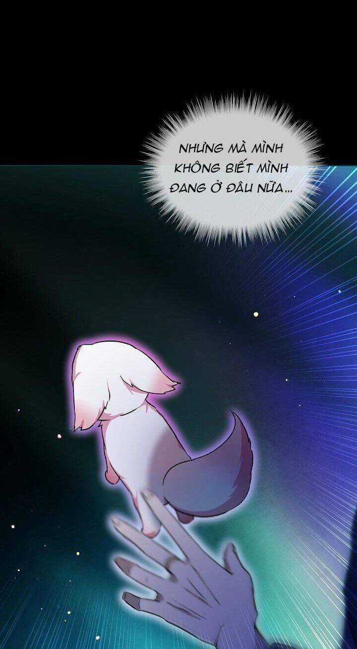 Tôi Đã Tái Sinh Thành Bé Cáo Của Thần Chapter 42 trang 32