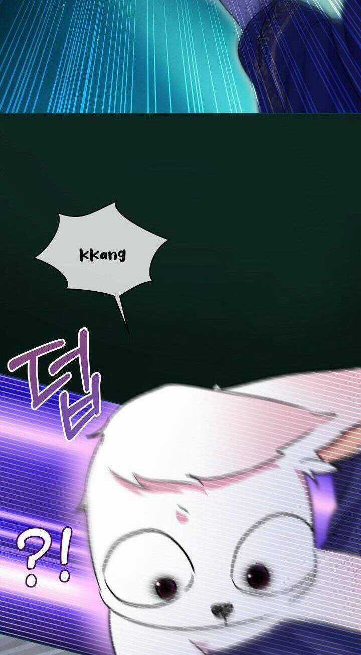 Tôi Đã Tái Sinh Thành Bé Cáo Của Thần Chapter 42 trang 33