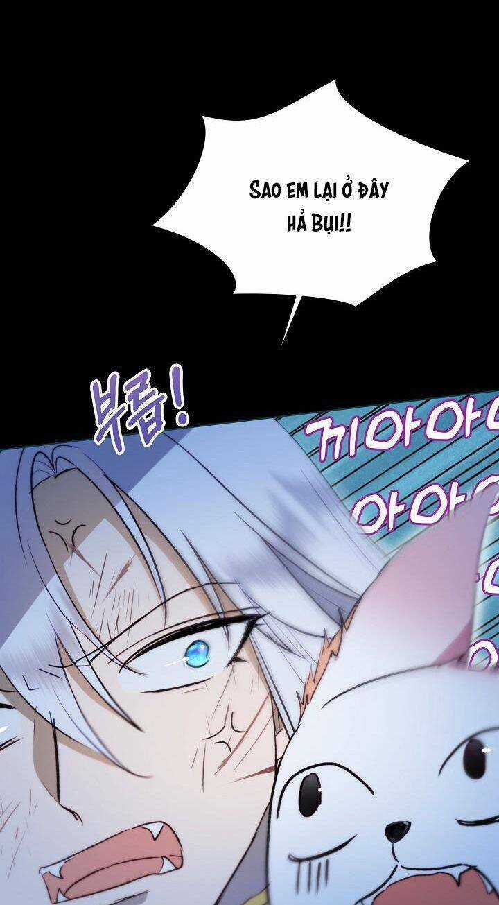 Tôi Đã Tái Sinh Thành Bé Cáo Của Thần Chapter 42 trang 36