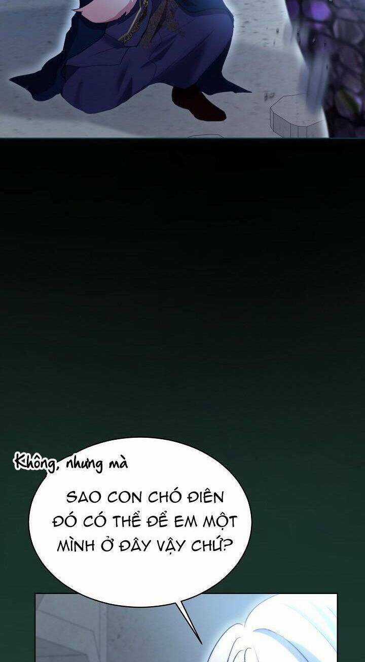 Tôi Đã Tái Sinh Thành Bé Cáo Của Thần Chapter 42 trang 42