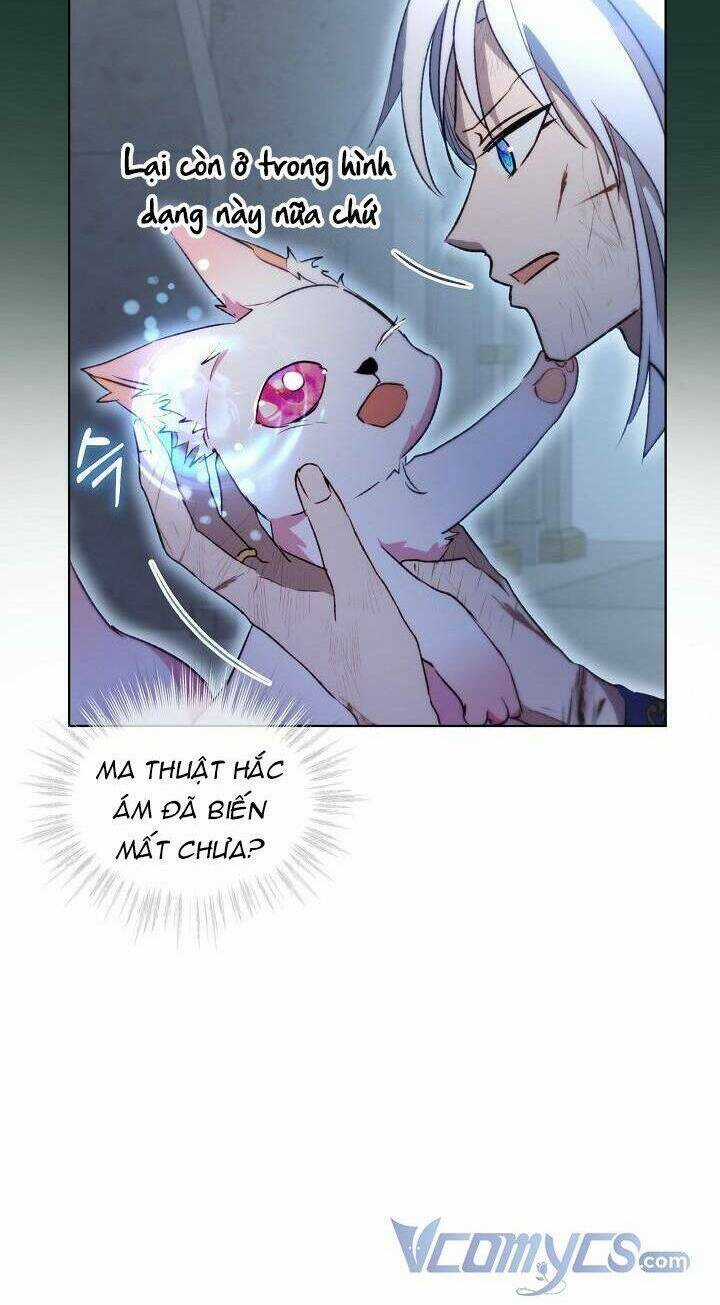 Tôi Đã Tái Sinh Thành Bé Cáo Của Thần Chapter 42 trang 43