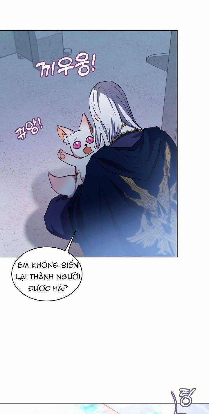 Tôi Đã Tái Sinh Thành Bé Cáo Của Thần Chapter 42 trang 44