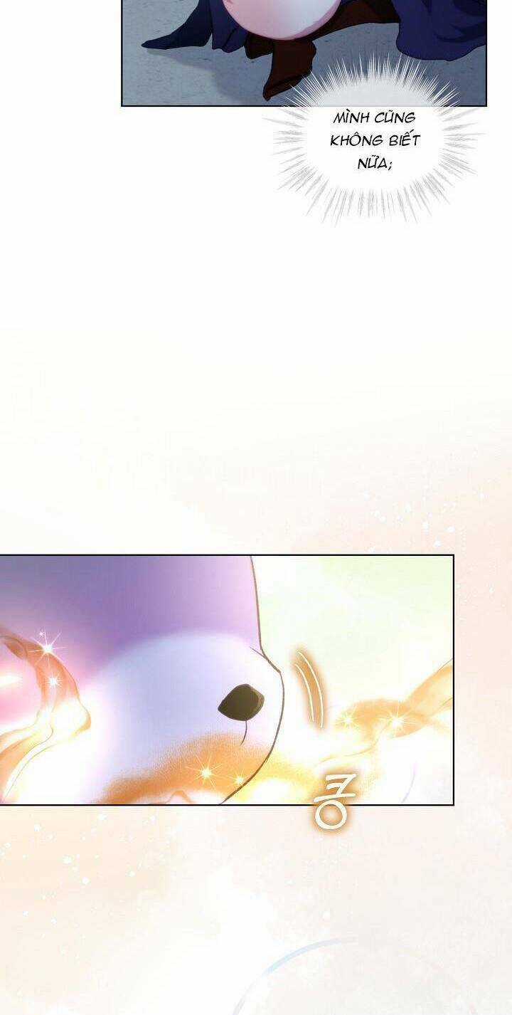 Tôi Đã Tái Sinh Thành Bé Cáo Của Thần Chapter 42 trang 46