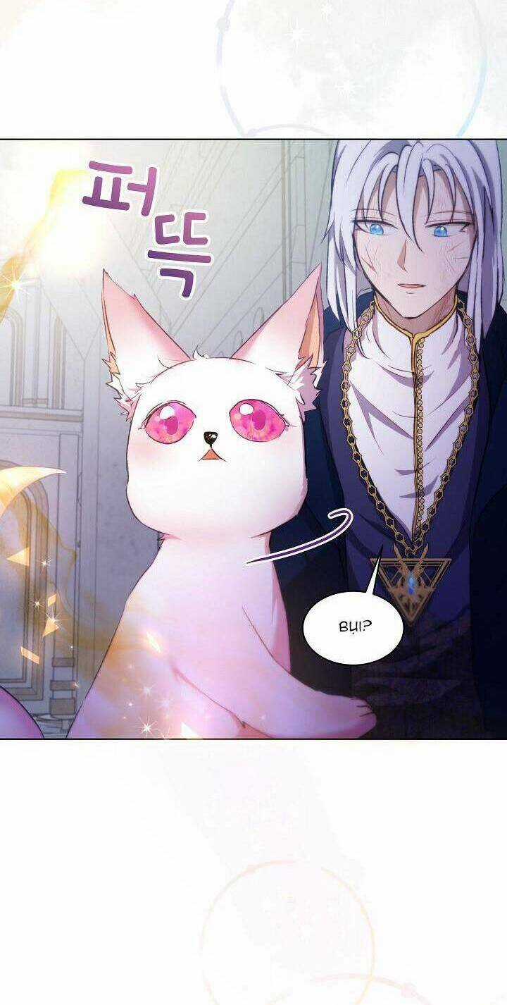 Tôi Đã Tái Sinh Thành Bé Cáo Của Thần Chapter 42 trang 47