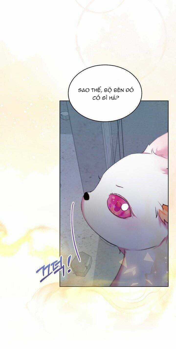 Tôi Đã Tái Sinh Thành Bé Cáo Của Thần Chapter 42 trang 48