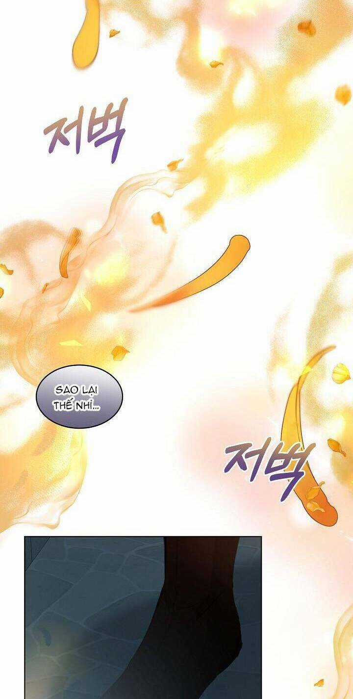 Tôi Đã Tái Sinh Thành Bé Cáo Của Thần Chapter 42 trang 50