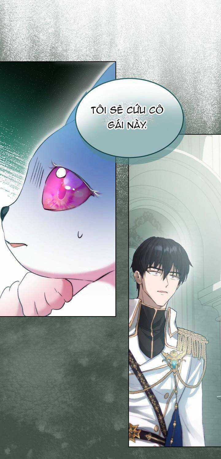 Tôi Đã Tái Sinh Thành Bé Cáo Của Thần Chapter 42 trang 60