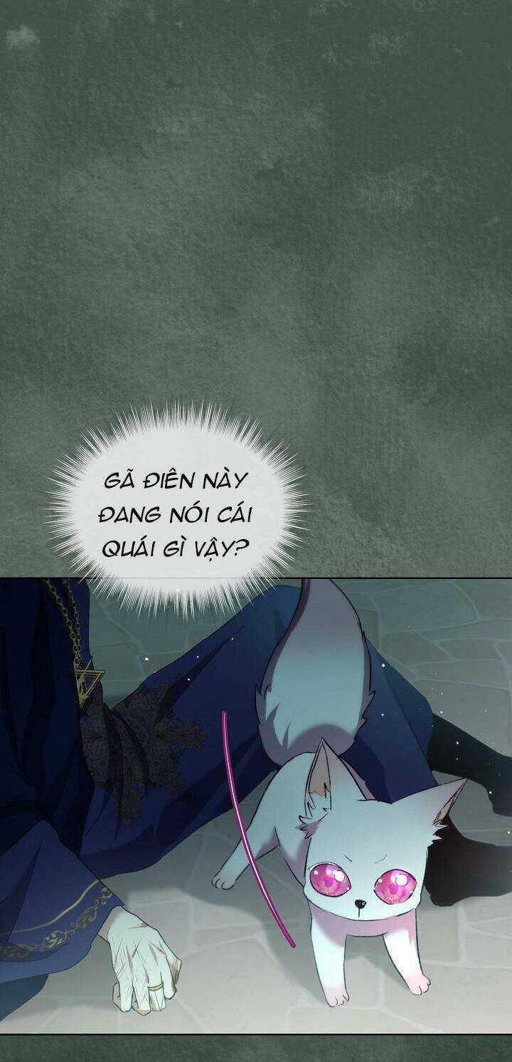 Tôi Đã Tái Sinh Thành Bé Cáo Của Thần Chapter 42 trang 61