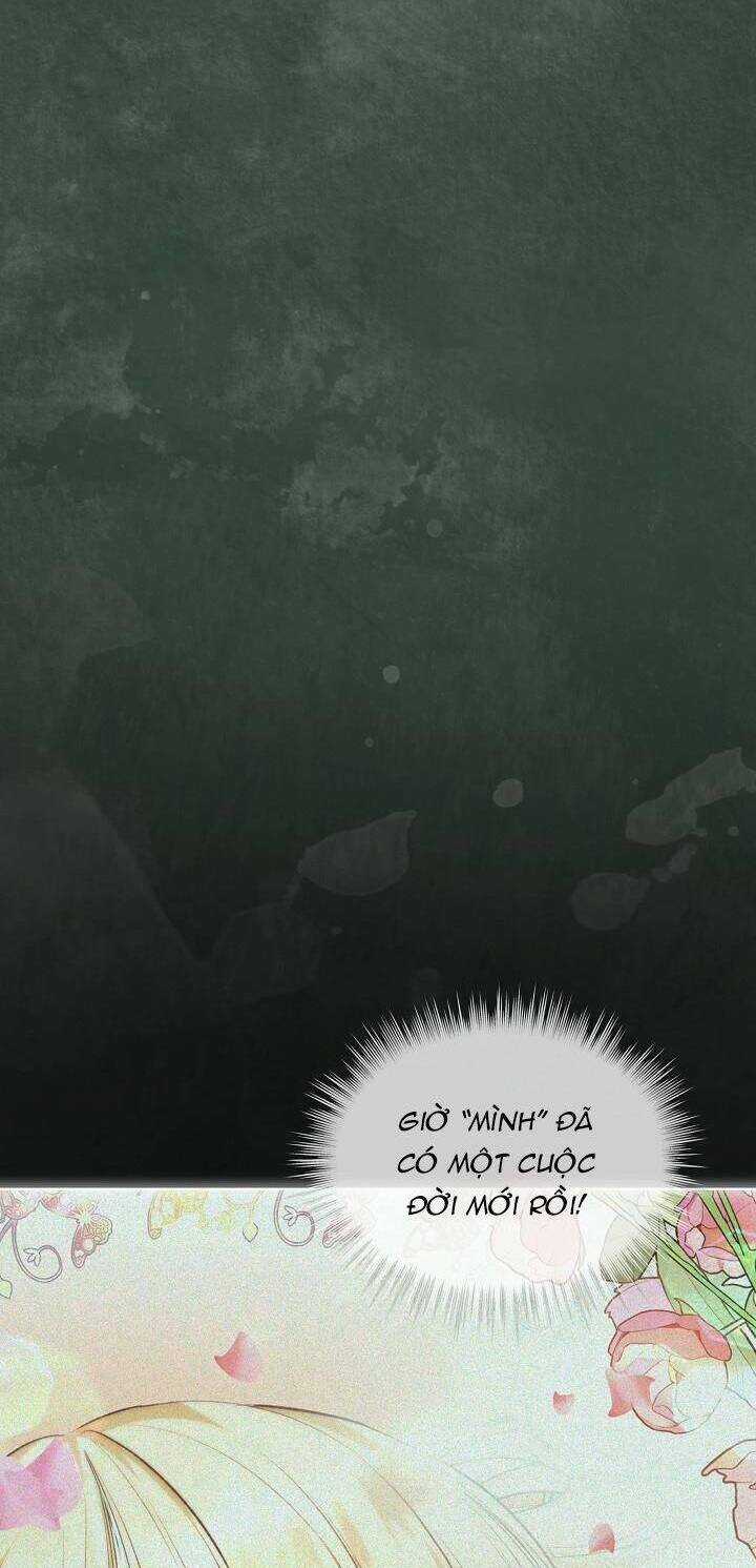 Tôi Đã Tái Sinh Thành Bé Cáo Của Thần Chapter 42 trang 62