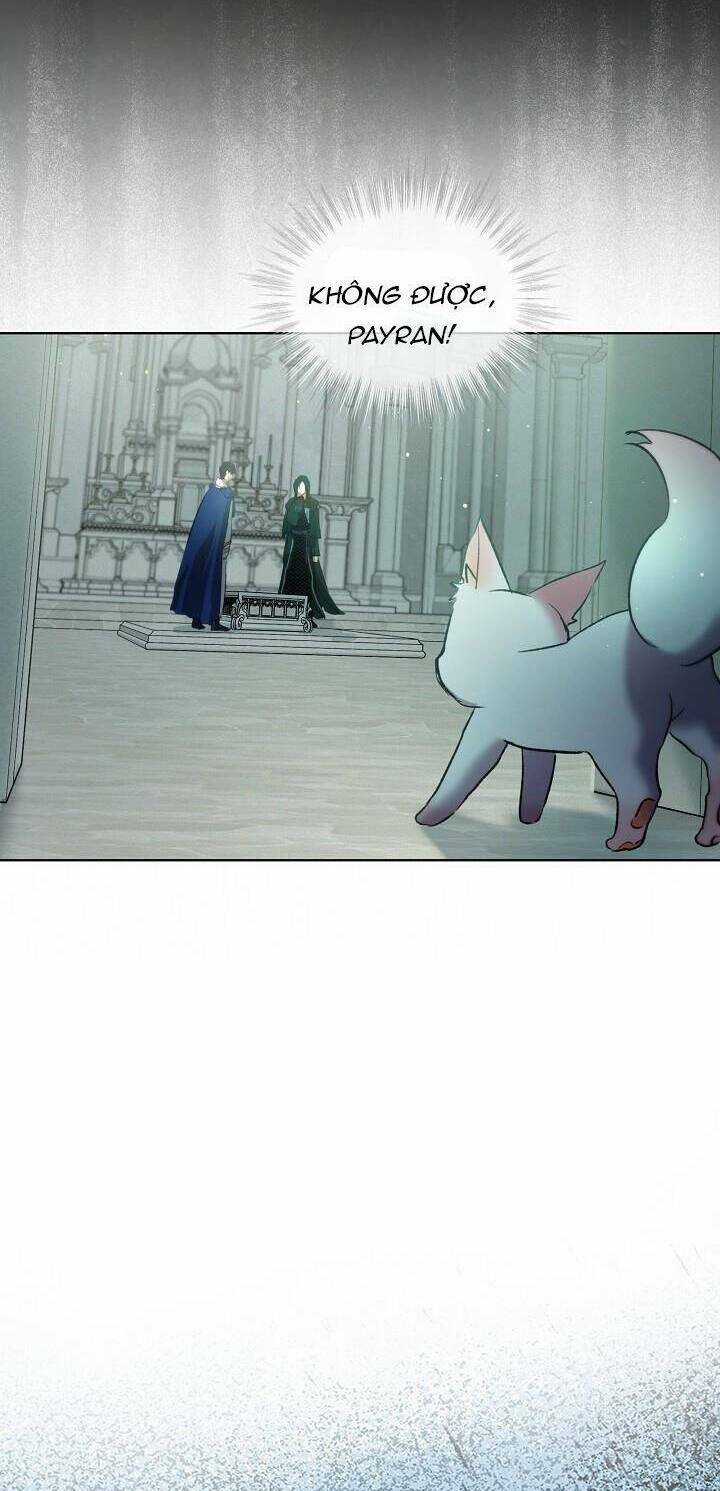 Tôi Đã Tái Sinh Thành Bé Cáo Của Thần Chapter 42 trang 64