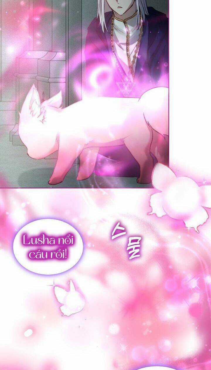 Tôi Đã Tái Sinh Thành Bé Cáo Của Thần Chapter 42 trang 70