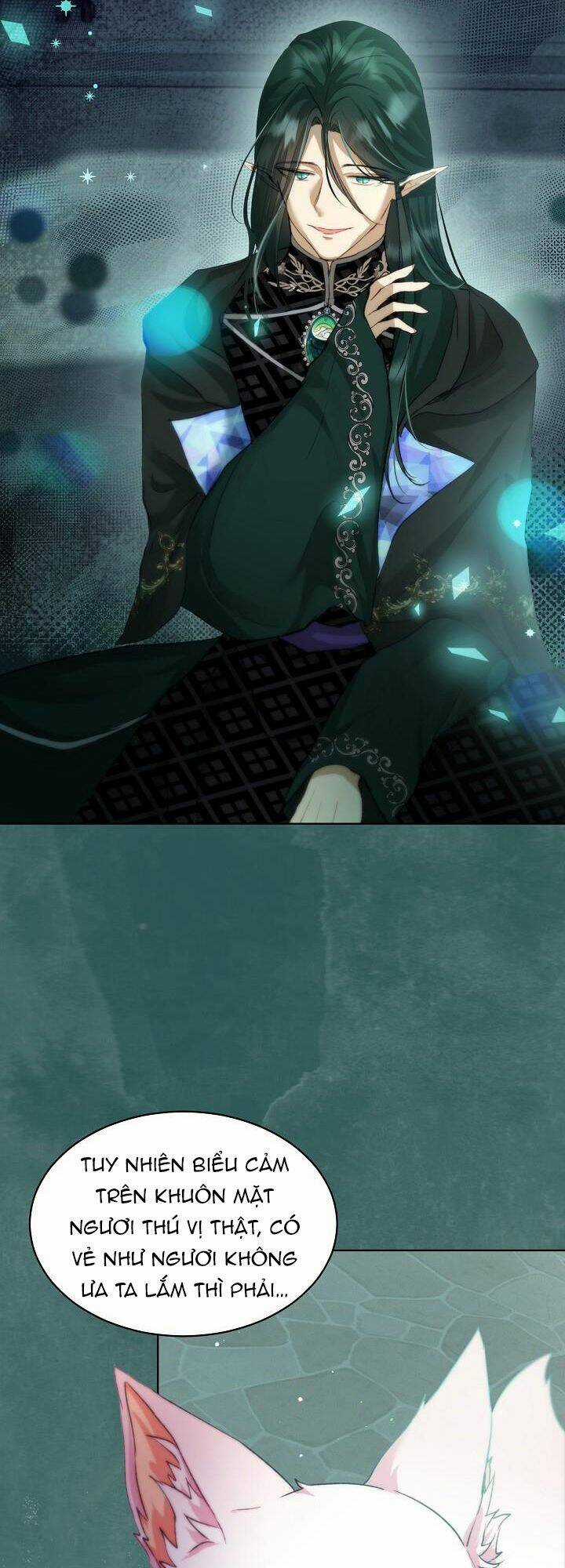 Tôi Đã Tái Sinh Thành Bé Cáo Của Thần Chapter 43 trang 14