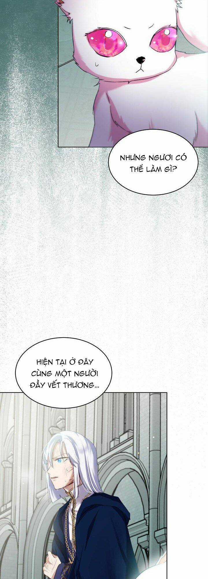 Tôi Đã Tái Sinh Thành Bé Cáo Của Thần Chapter 43 trang 15