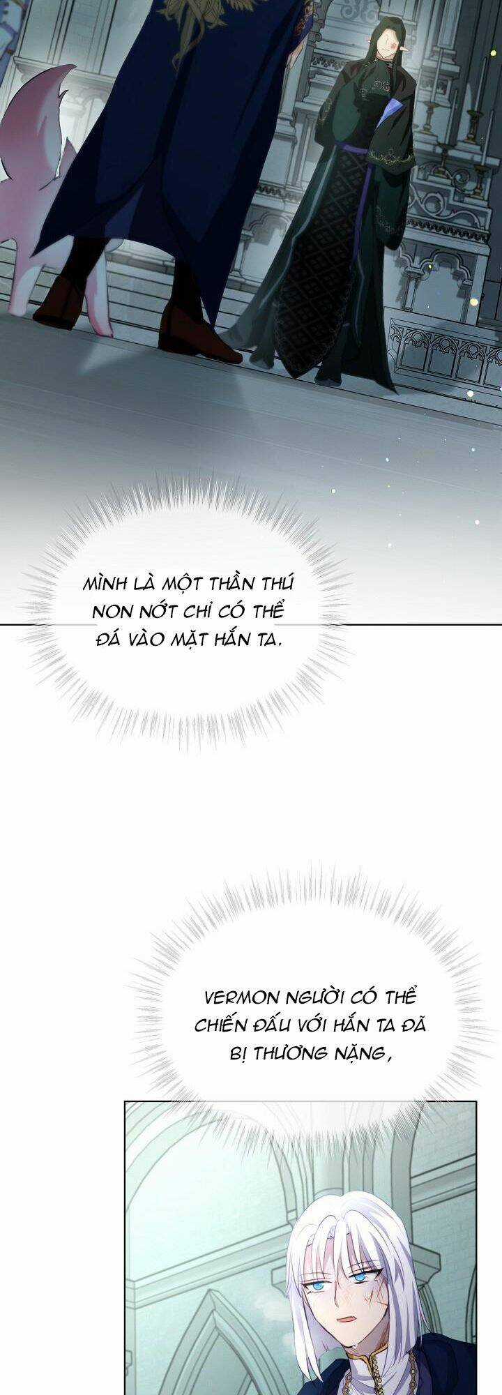 Tôi Đã Tái Sinh Thành Bé Cáo Của Thần Chapter 43 trang 20