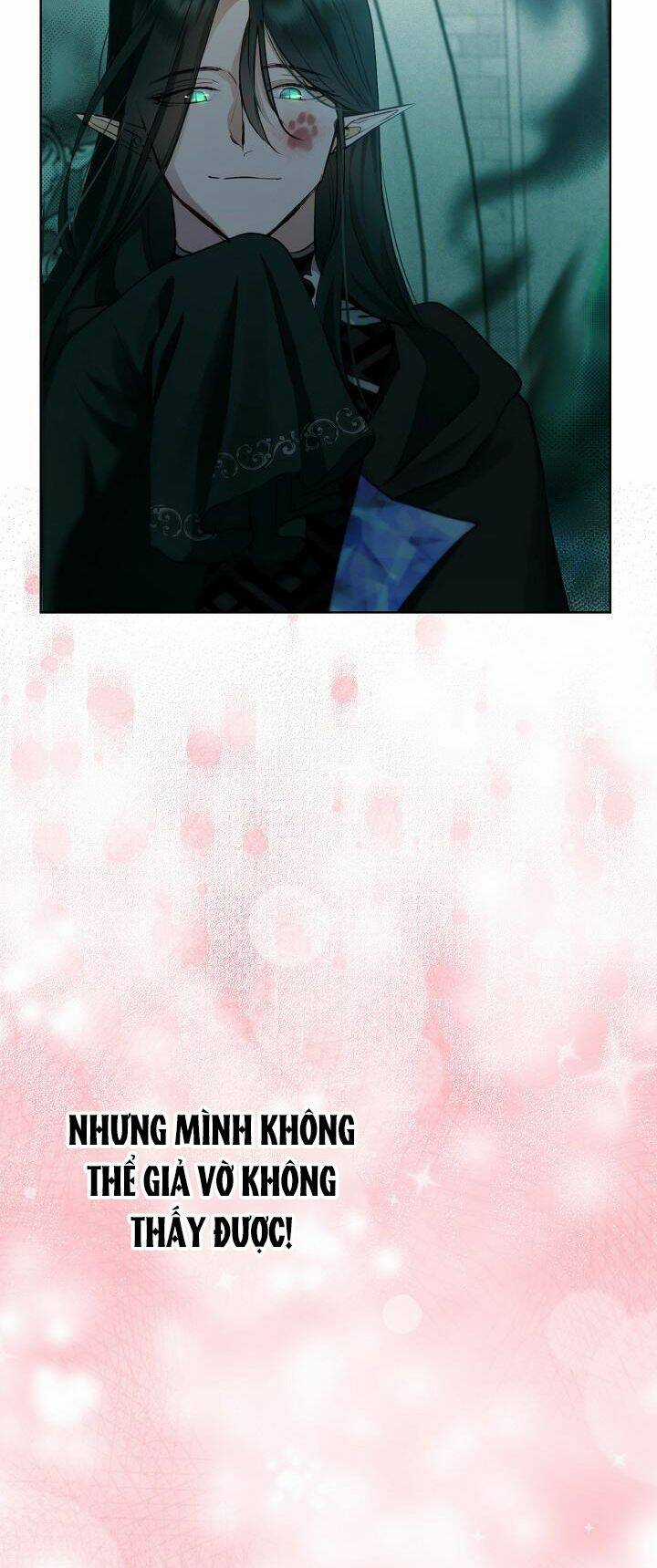 Tôi Đã Tái Sinh Thành Bé Cáo Của Thần Chapter 43 trang 22