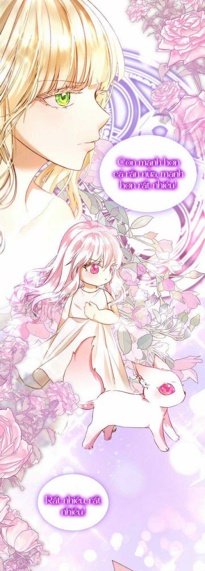 Tôi Đã Tái Sinh Thành Bé Cáo Của Thần Chapter 43 trang 25