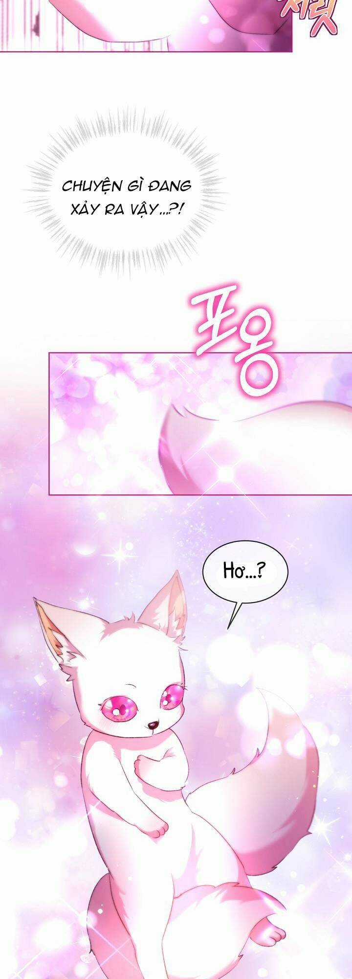 Tôi Đã Tái Sinh Thành Bé Cáo Của Thần Chapter 43 trang 31