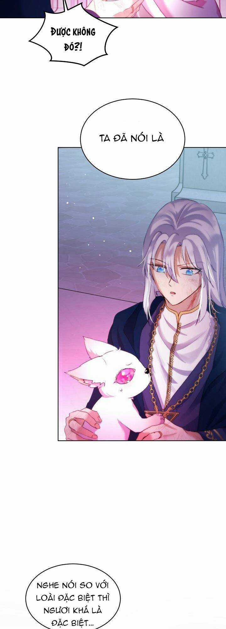 Tôi Đã Tái Sinh Thành Bé Cáo Của Thần Chapter 43 trang 33