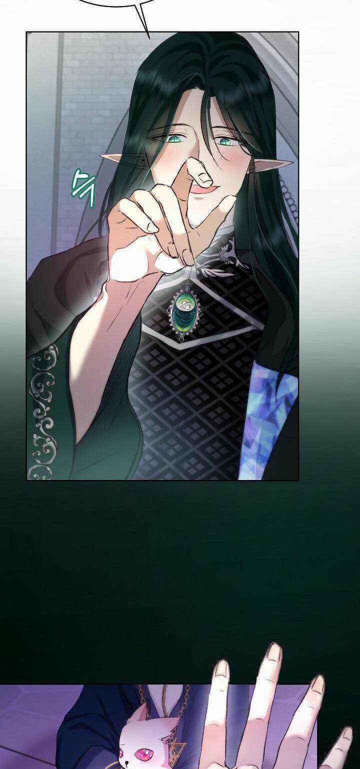 Tôi Đã Tái Sinh Thành Bé Cáo Của Thần Chapter 43 trang 34