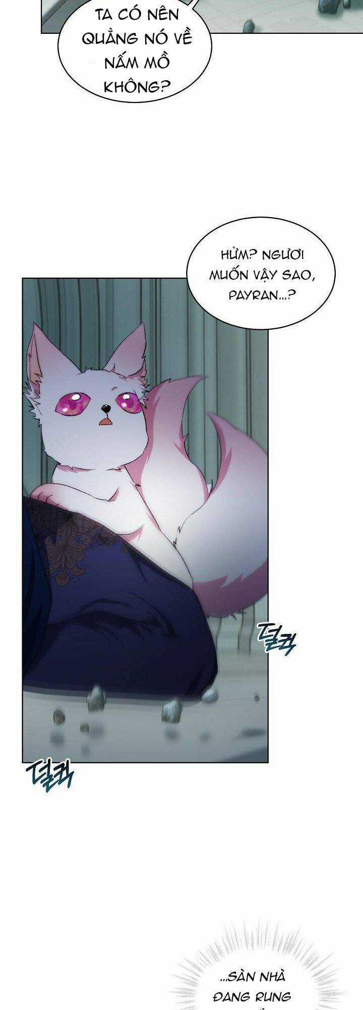 Tôi Đã Tái Sinh Thành Bé Cáo Của Thần Chapter 43 trang 39