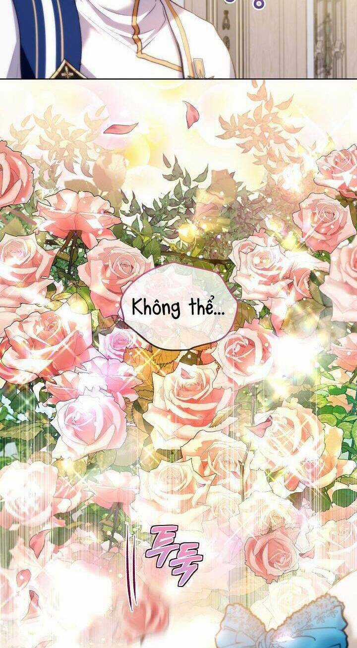 Tôi Đã Tái Sinh Thành Bé Cáo Của Thần Chapter 48 trang 34