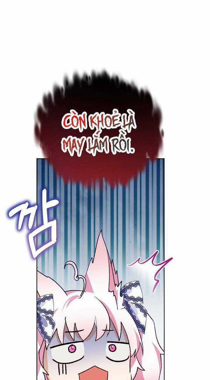 Tôi Đã Tái Sinh Thành Bé Cáo Của Thần Chapter 48 trang 62