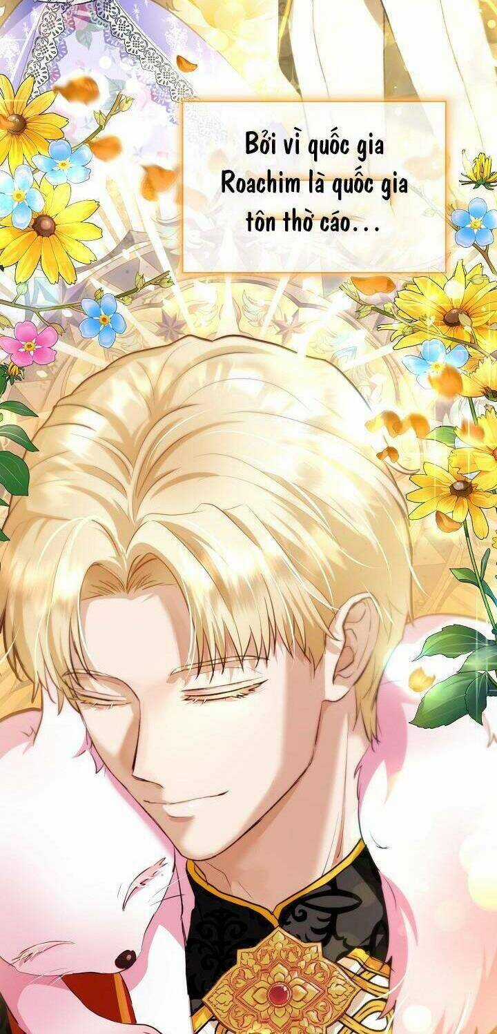 Tôi Đã Tái Sinh Thành Bé Cáo Của Thần Chapter 48 trang 7