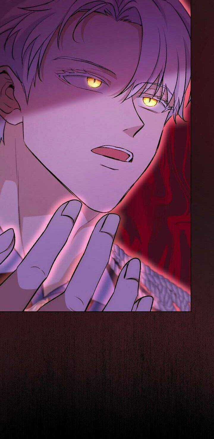 Tôi Đã Tái Sinh Thành Bé Cáo Của Thần Chapter 50 trang 39