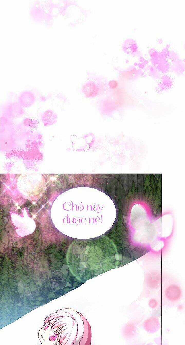 Tôi Đã Tái Sinh Thành Bé Cáo Của Thần Chapter 51 trang 34