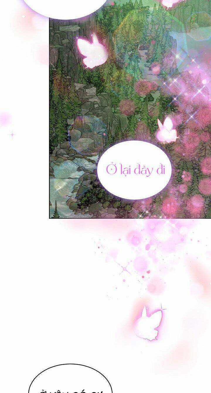 Tôi Đã Tái Sinh Thành Bé Cáo Của Thần Chapter 51 trang 36