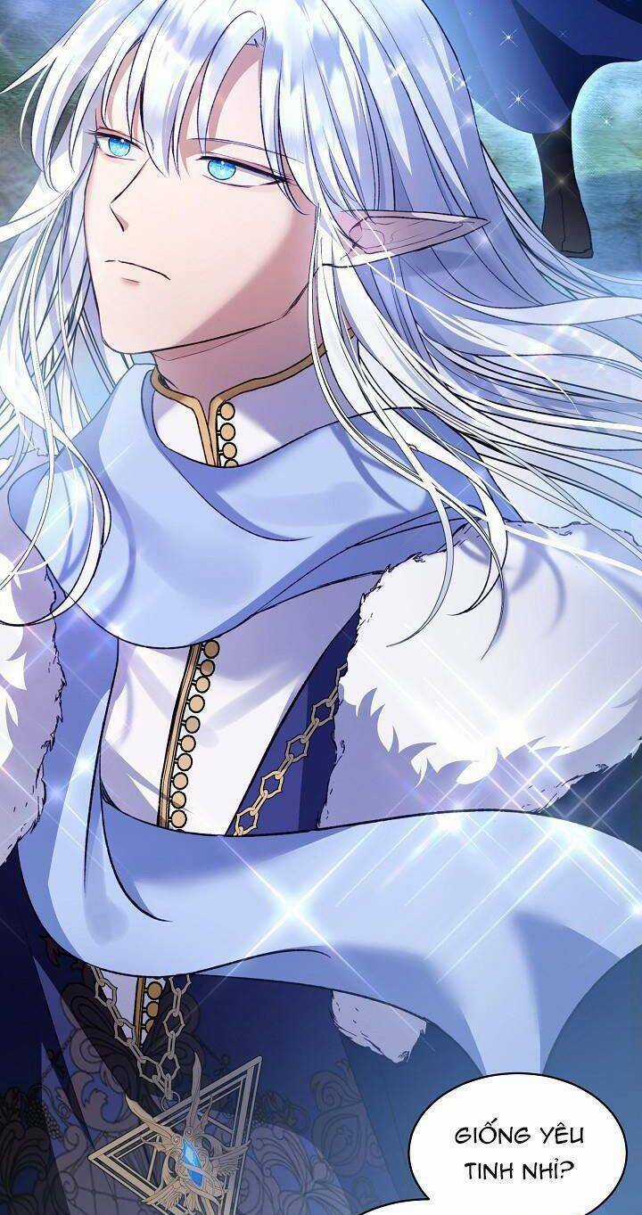 Tôi Đã Tái Sinh Thành Bé Cáo Của Thần Chapter 51 trang 46