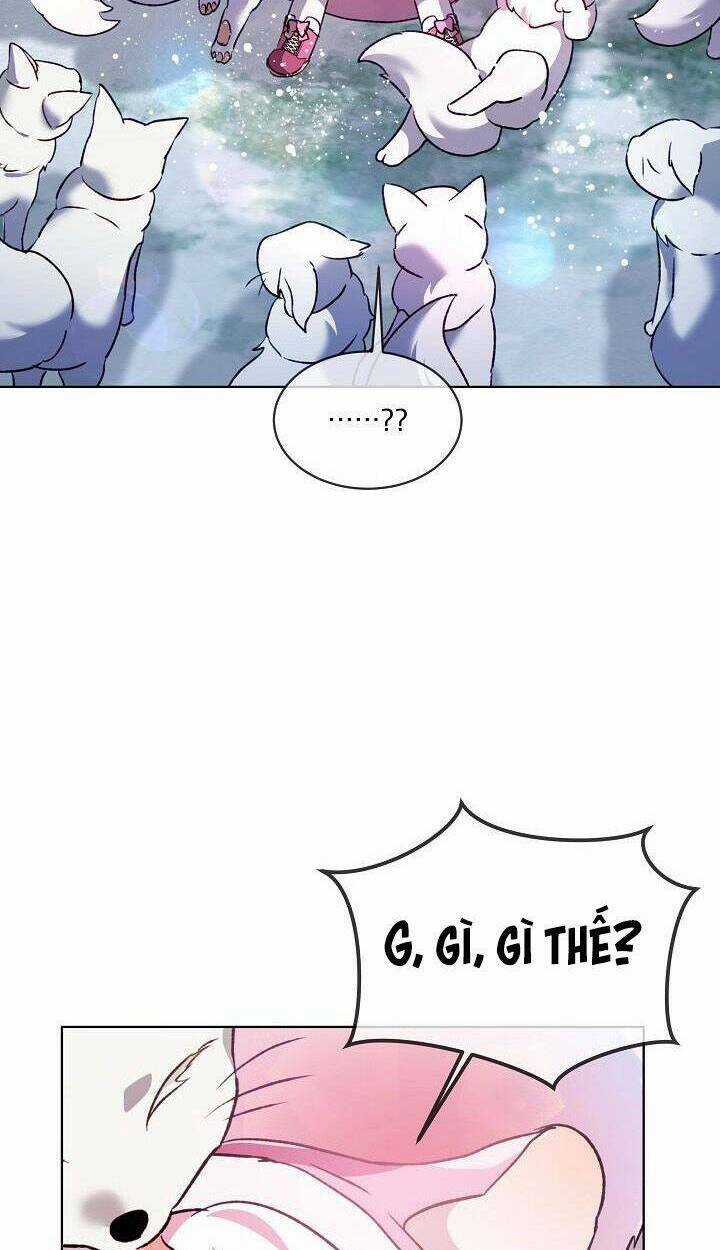 Tôi Đã Tái Sinh Thành Bé Cáo Của Thần Chapter 51 trang 62