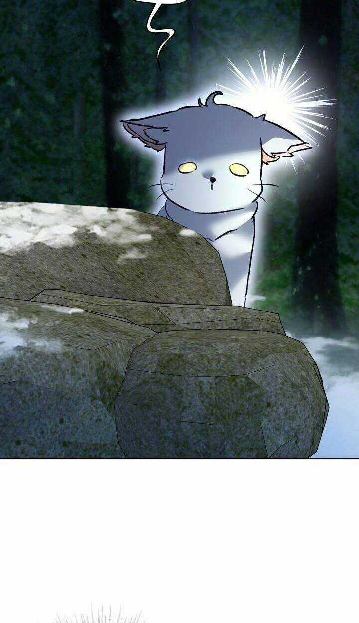 Tôi Đã Tái Sinh Thành Bé Cáo Của Thần Chapter 51 trang 69