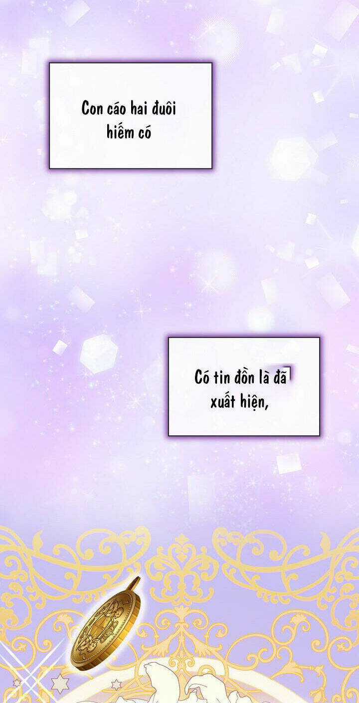 Tôi Đã Tái Sinh Thành Bé Cáo Của Thần Chapter 52 trang 44