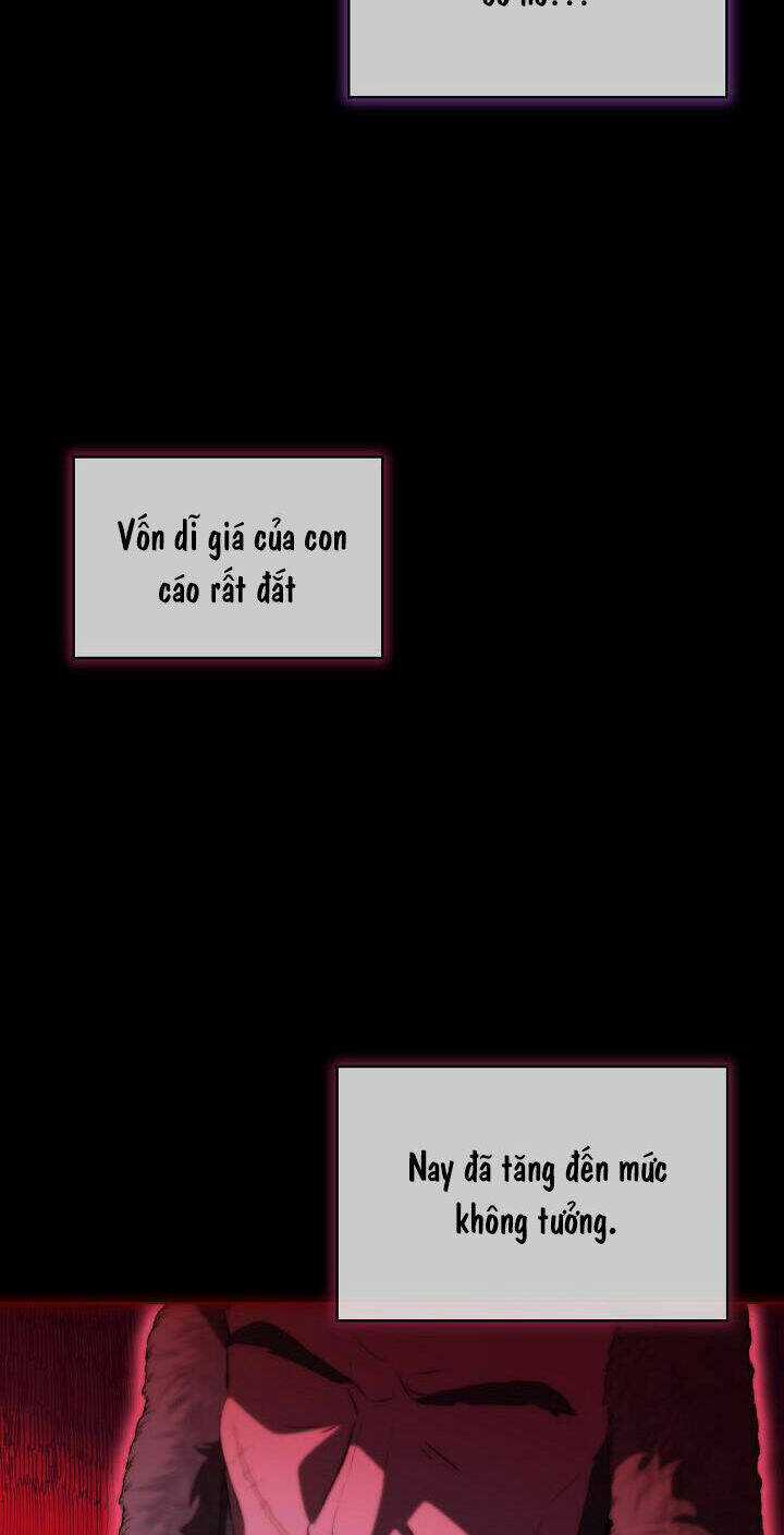 Tôi Đã Tái Sinh Thành Bé Cáo Của Thần Chapter 52 trang 47