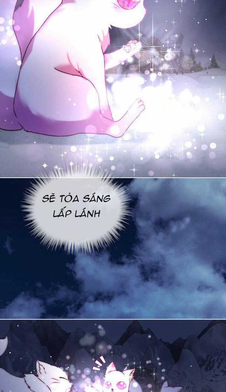 Tôi Đã Tái Sinh Thành Bé Cáo Của Thần Chapter 52 trang 71