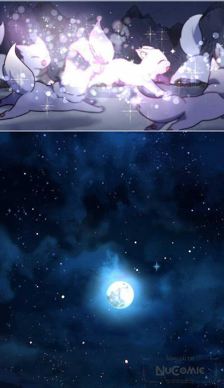 Tôi Đã Tái Sinh Thành Bé Cáo Của Thần Chapter 52 trang 73